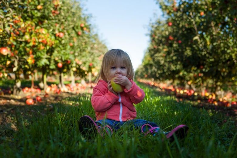 Crianças com diagnóstico de diabetes mellitus podem usar frutas feias